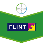 Flint®