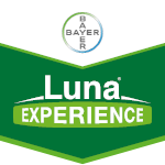 Luna® Experience