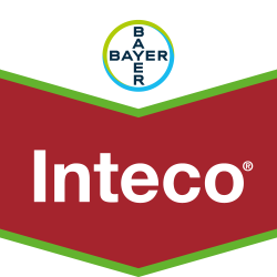 Inteco®