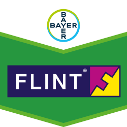 Flint®