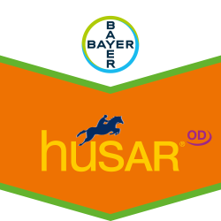 Husar® OD