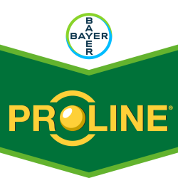 Proline®
