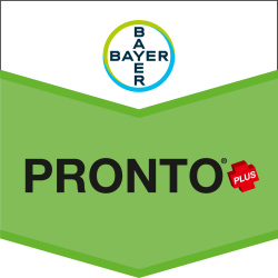 Pronto® Plus
