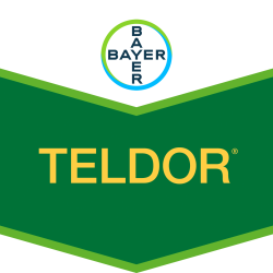 Teldor®