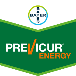 Previcur® Energy