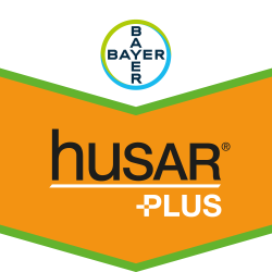 Husar® Plus