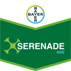 Serenade® ASO
