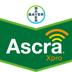 Ascra® Xpro