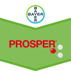 Prosper® TEC