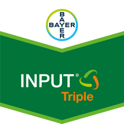 Input® Triple
