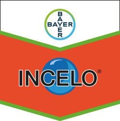 Incelo®