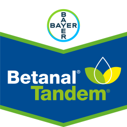 Betanal® Tandem®