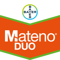 Mateno® Duo