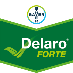 Delaro® Forte