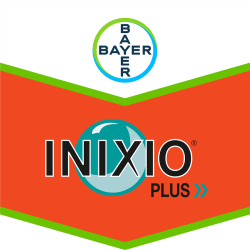 Inixio® Plus