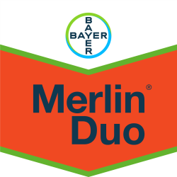Merlin® Duo