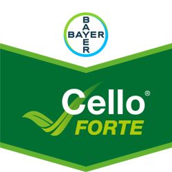 Cello® Forte