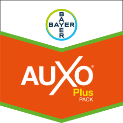Auxo® Plus Pack (Auxo® Plus + Mero®)