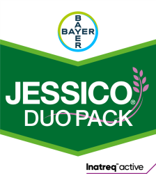 Jessico® Duo Pack (Jessico® One + Silvron®)