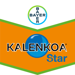 Kalenkoa® Star Pack (Kalenkoa® Star + Biopower®)