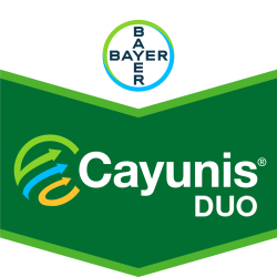 Cayunis® Duo (Cayunis® + Jessico® One)