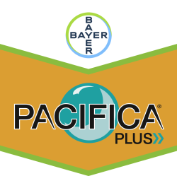 Pacifica® Plus