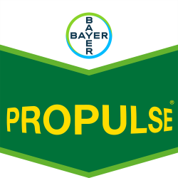 Propulse®