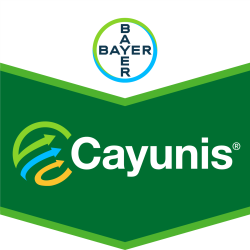 Cayunis®
