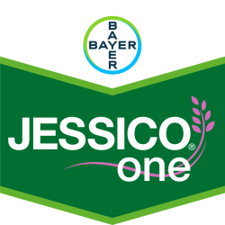 Jessico® One