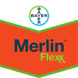 Merlin® Flexx