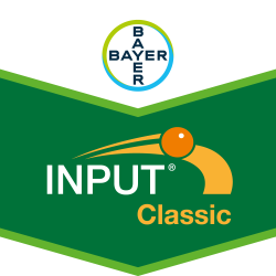 Input® Classic