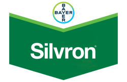 Silvron®