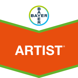 Artist®