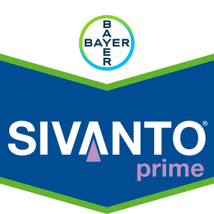 SIVANTO® prime