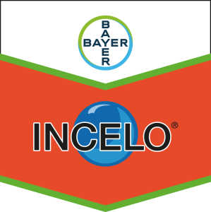 Incelo®