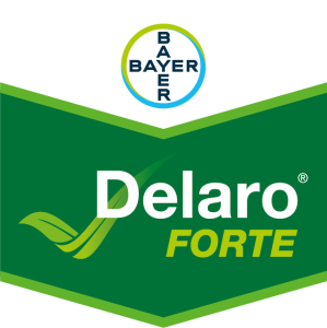 Delaro® Forte