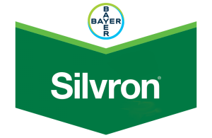 Silvron®