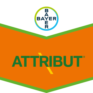 Attribut®