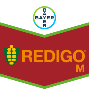 Redigo® M für die Inkrustierung von Maissaatgut