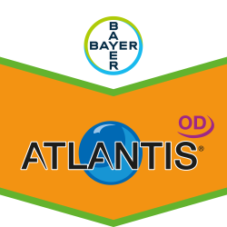 Atlantis® OD