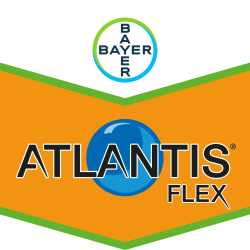 Atlantis® Flex