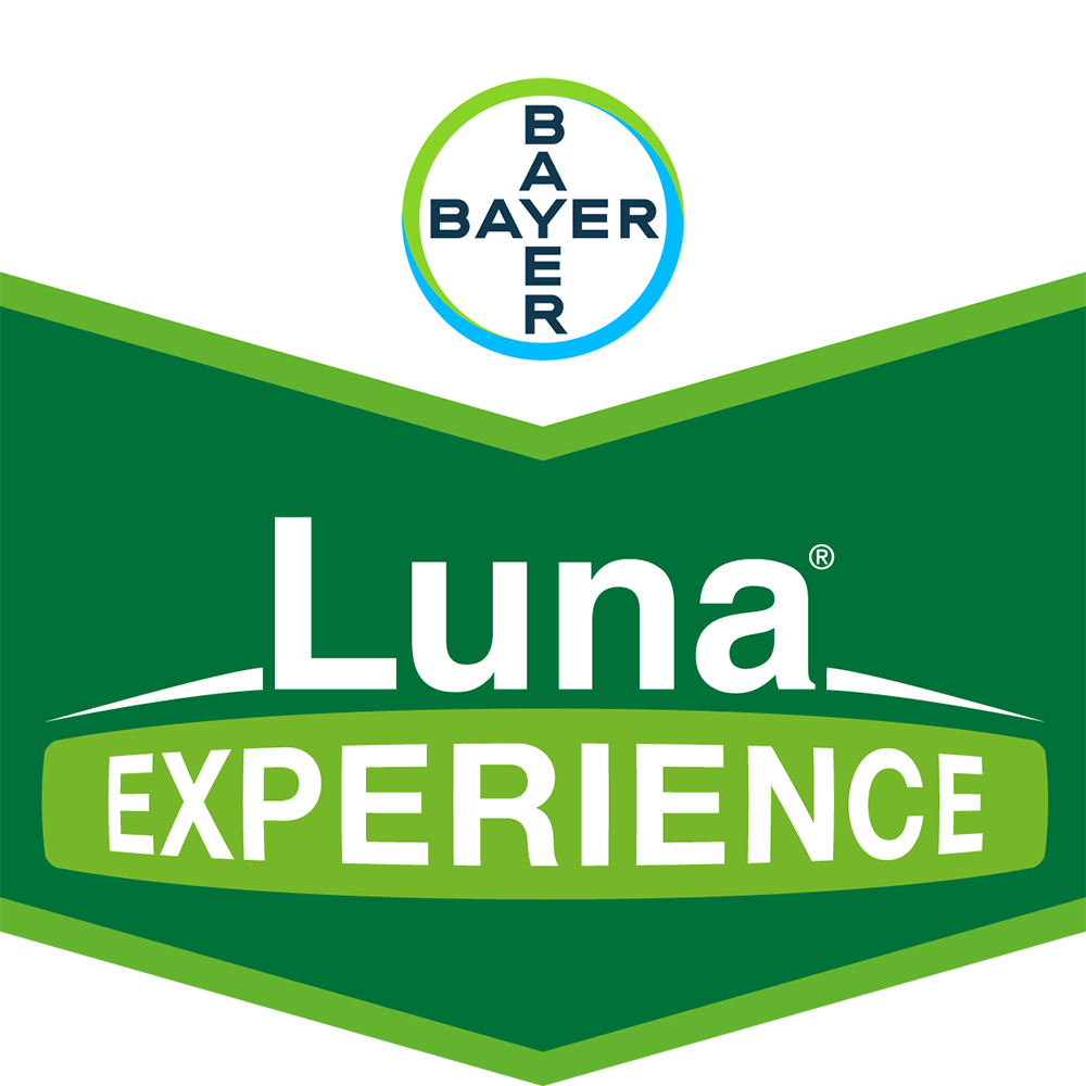 Luna® Experience