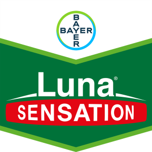 Luna® Sensation