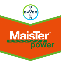 MaisTer® power