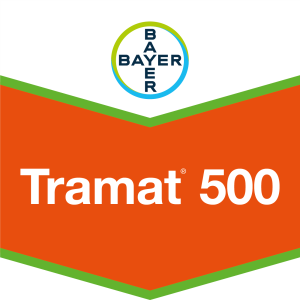 Tramat® 500