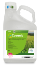 Cayunis®