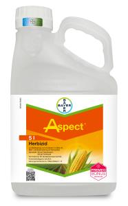 Aspect®
