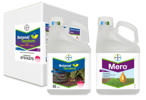 Betanal® Tandem® Pack (Betanal® Tandem® + Mero®)