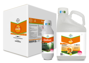 Laudis® Plus (Laudis® + Delion®)