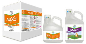 Auxo® Plus Pack (Auxo® Plus + Mero®)